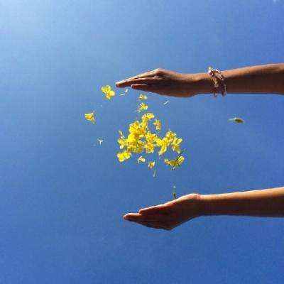 澳门黄金城手机app下载